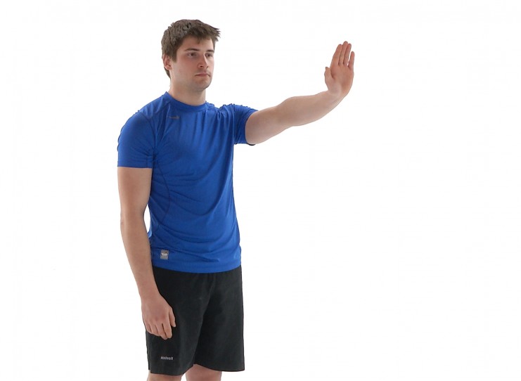 Tennis Elbow Beginner Excercises – Strive Physiotherapy and Sports Medicine